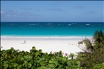 Pink Sands beach